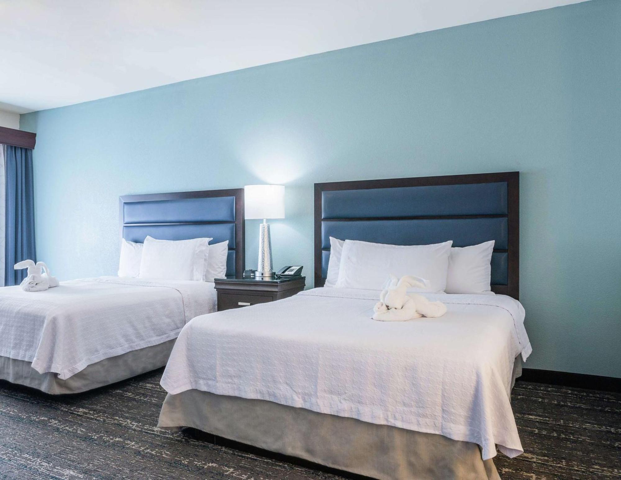 Suite Two Queen Beds Roll Shower Mobility Hearing Access or Non-Smoking