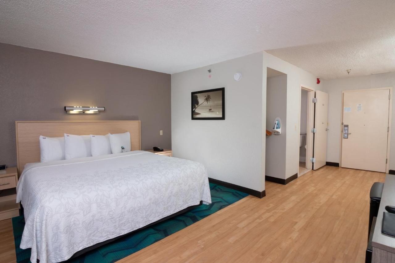 Superior King Room Disability Access Roll-In Shower Smoke Free,1706543303:JPEG