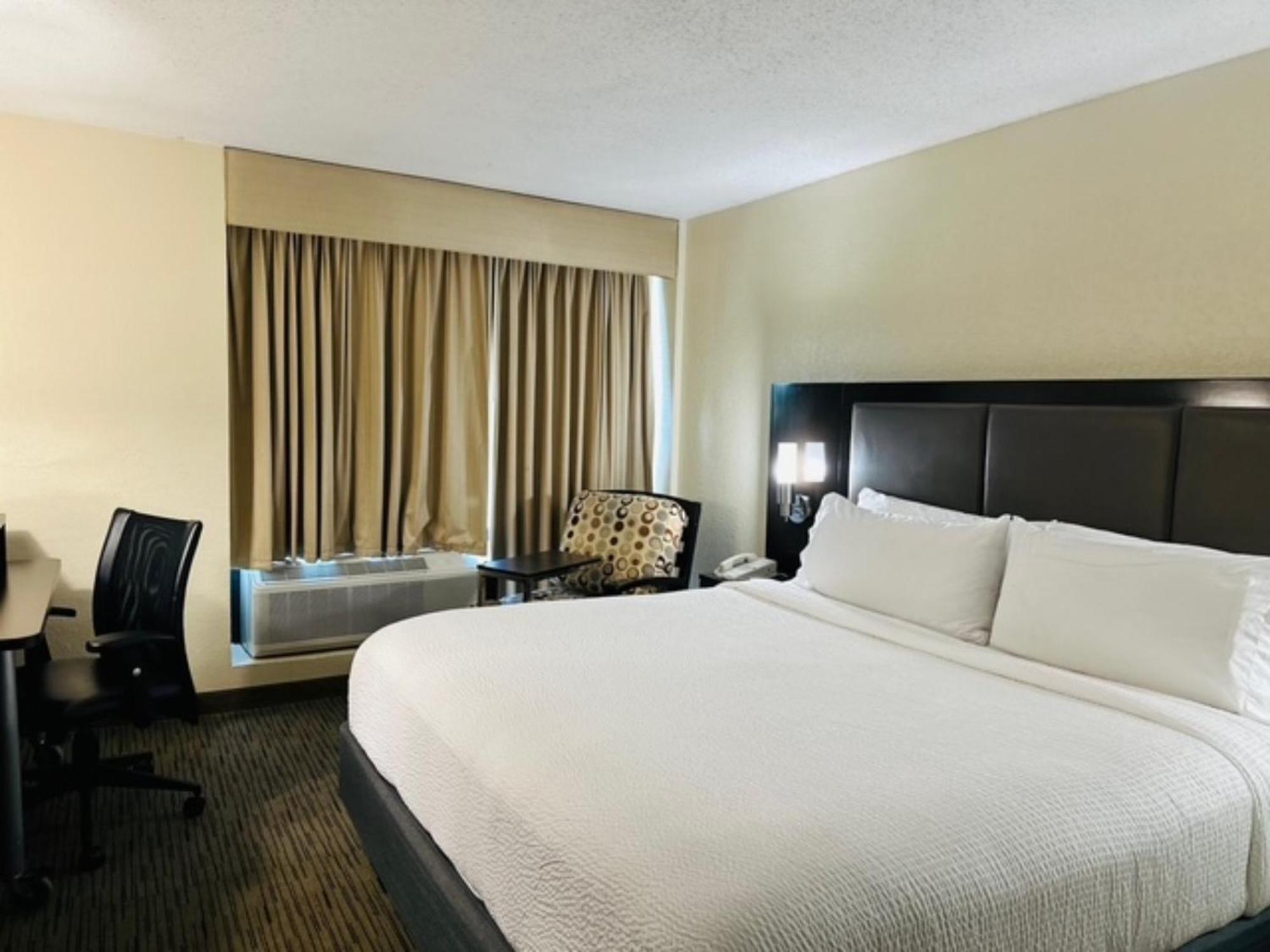 Standard King Room,1279531303:JPEG