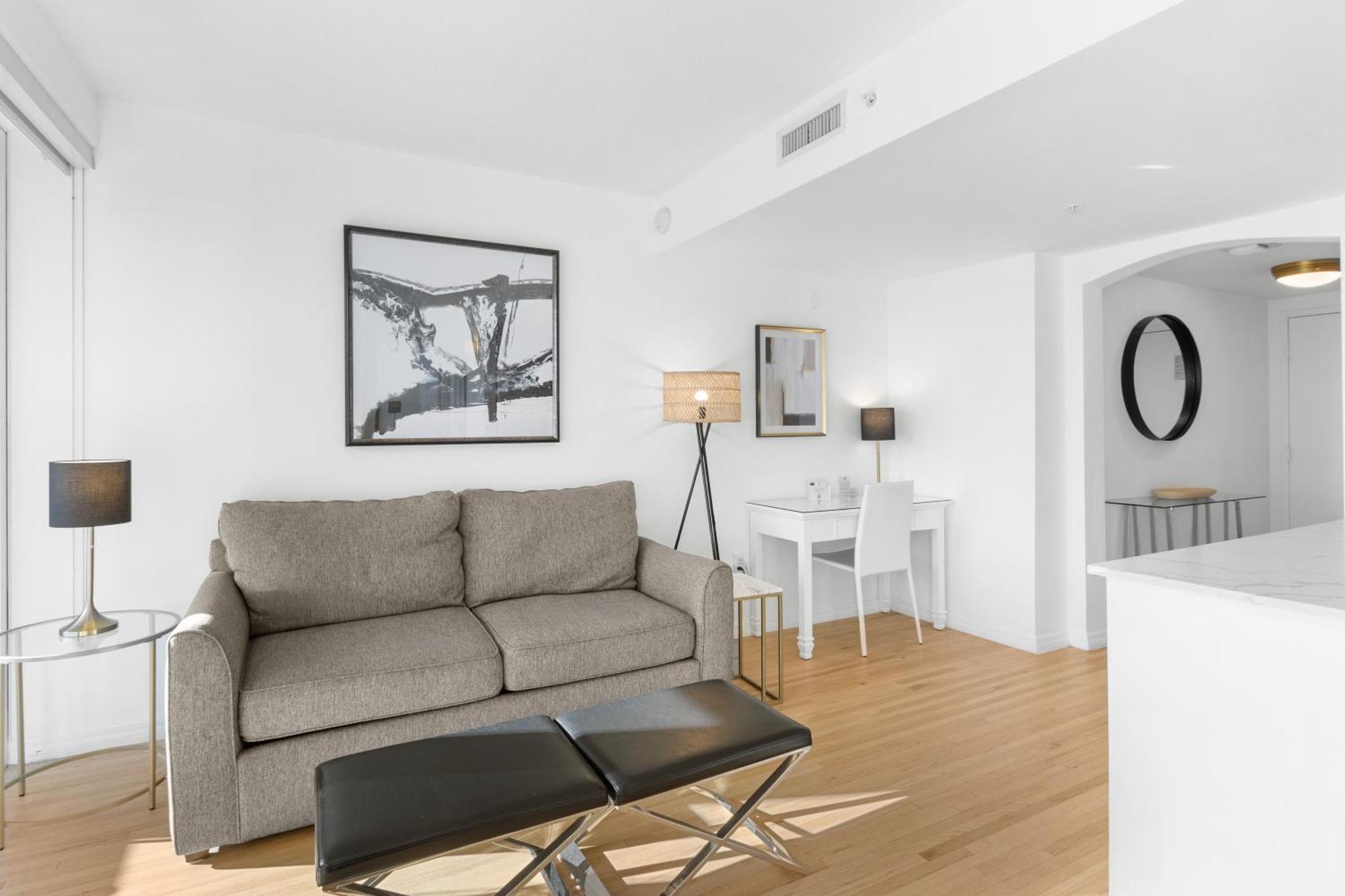 Deluxe One-Bedroom Apartment
