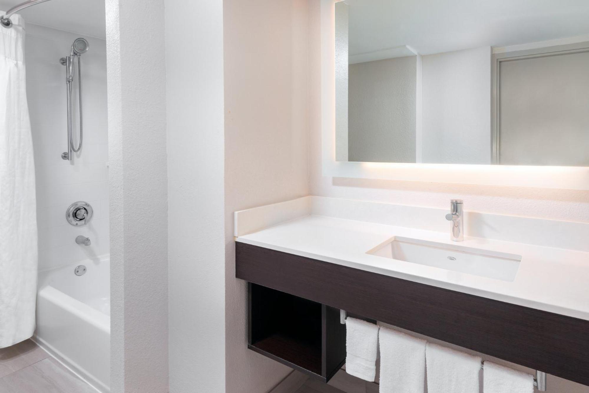 Standard King Room Accessible Tub Mobility Access