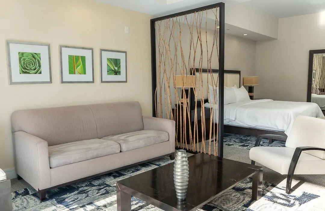 Modern Private Studio - King Bed, Jacuzzi, Balcony And Pool-1