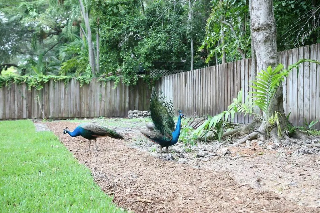 Spacious Tropical Oasis - 1/2 Acre In Heart Of Mia-1