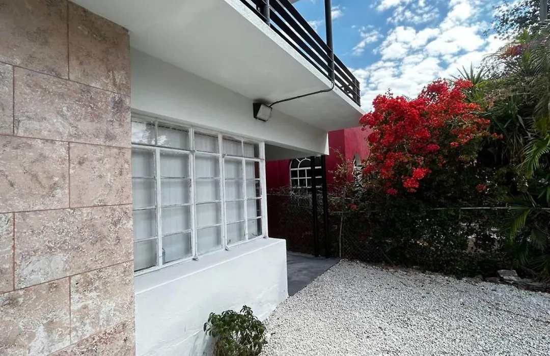 Havana Oasis In Miami An Authentic Cuban Retreat-1