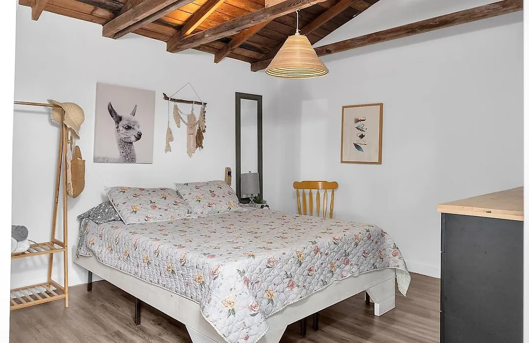 Private Studio Cabin Steps From Calle 8-1
