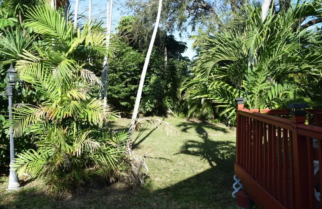 Home In The Heart Of Miami-1