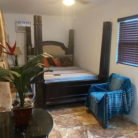 Paradise Oasis3-2
