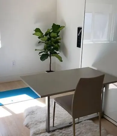 Modern Coconut Grove Oasis Villa-3
