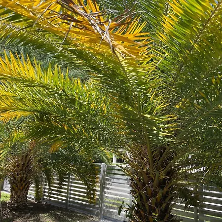 Selah 4 Bedroom House Close To Everything In Miami-3