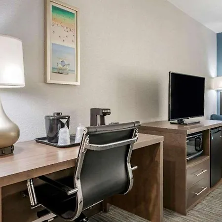 Comfort Inn & Suites Downtown Brickell-Port Of Miami-2