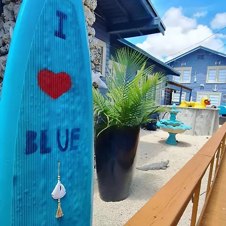 Blue Little Havana-3