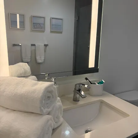 Alea Miami-3