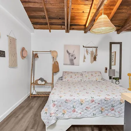 Private Studio Cabin Steps From Calle 8-3
