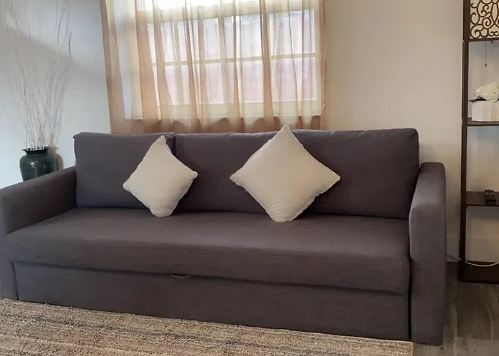 Modern Luxurious Spacious Home In West Wynwood