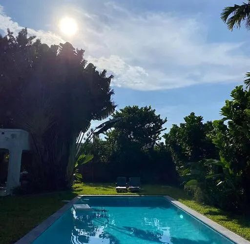 Miami Guest House With Large Pool che accetta animali