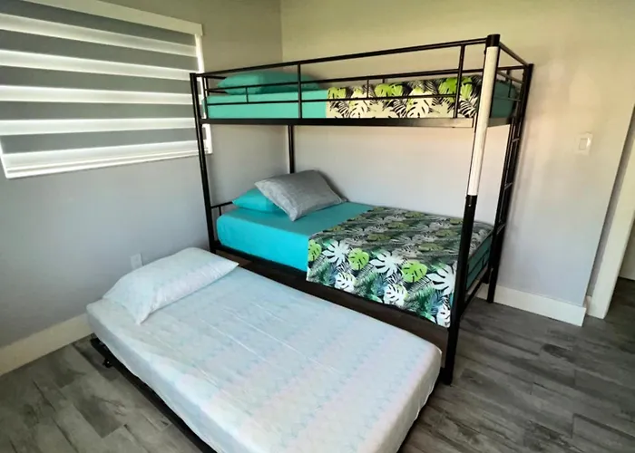 Beauty House In Palmetto Bay Fl