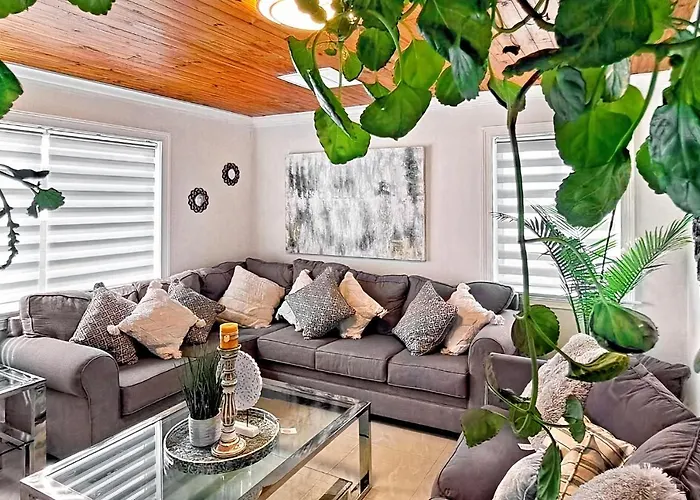 Room Miami admite animales