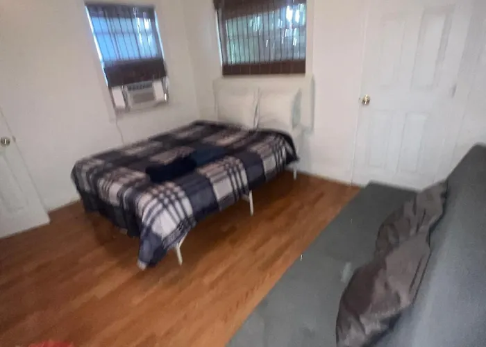 Pet friendly Room Miami3