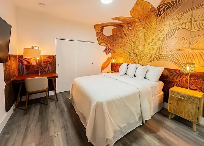Wynwood Apartments And Studios