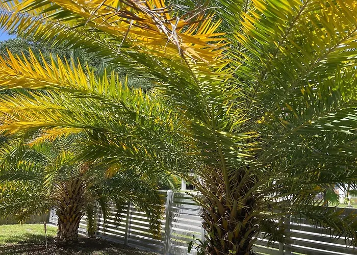 Selah 4 Bedroom House Close To Everything In Miami que aceita animais de estimação