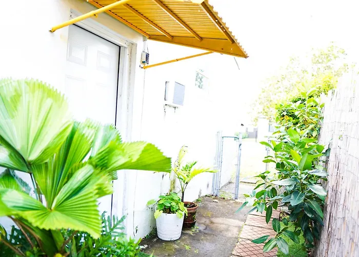 Tropical Cottage In Prime Airport Area Miami admite animales