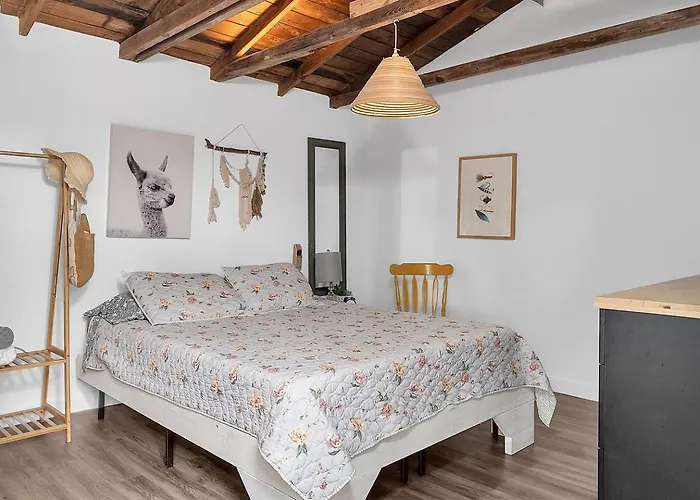 Haustierfreundliches Private Studio Cabin Steps From Calle 8 Miami